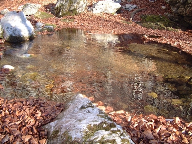 Torrente d''inverno